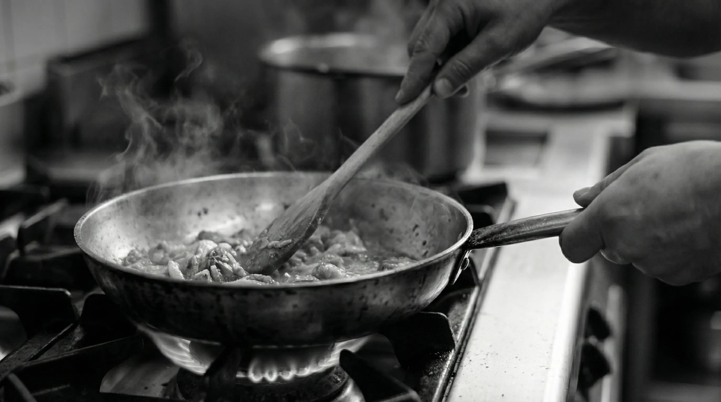 Küchenphilosophie — Traditionelle Gerichte vom Westbalkan im Rhein-Lahn Hotel Restaurant